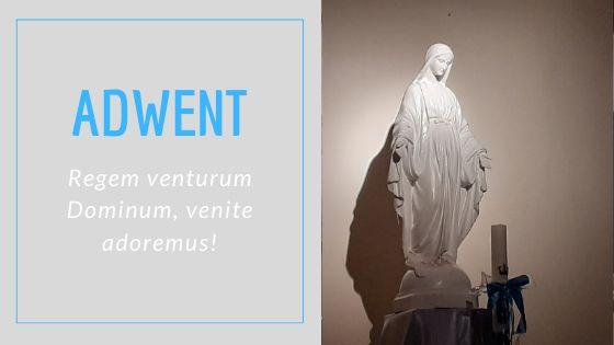 ADWENT. Regem venturum Dominum, venite adoremus!