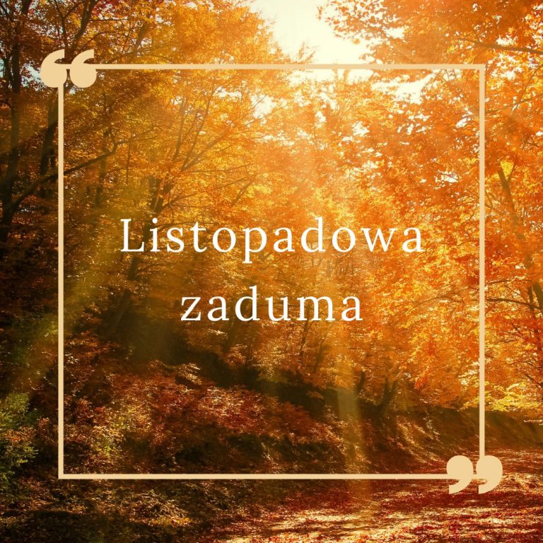 Listopadowa zaduma